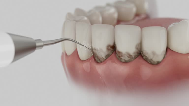 Reliable Dental contractor in Harleigh, PA by Dentist Open Now
